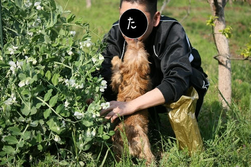 e4f4d8cb.jpg