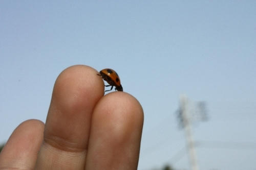 IMG_7964.JPG