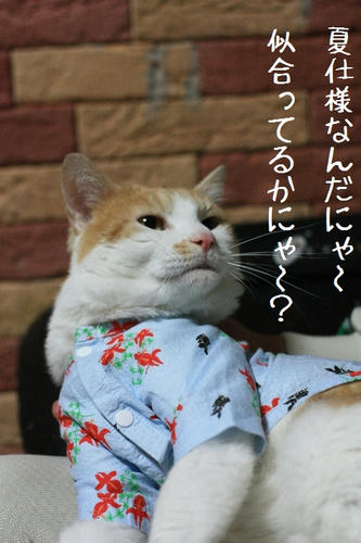 c97dd04e.JPG