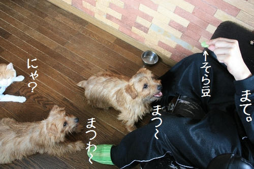 d94115c0.JPG