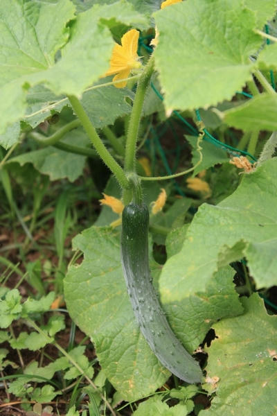 769d997d.JPG