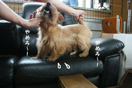 a48c9fb7.JPG
