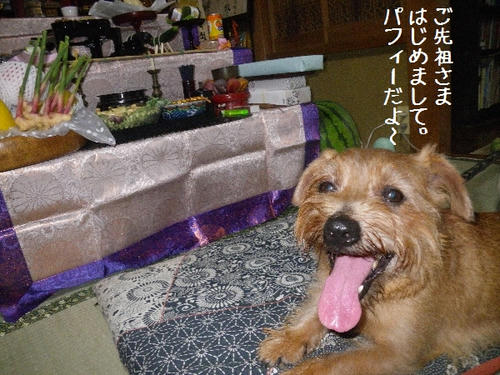IMGP4712.JPG