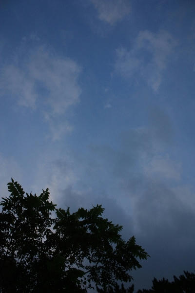 dd46377d.JPG