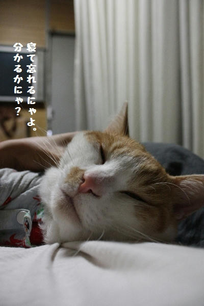 d0230415.JPG