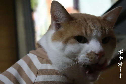d773670c.JPG