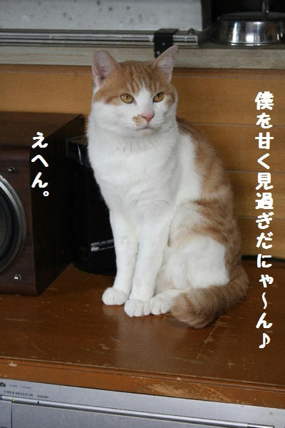 IMG_7597.JPG