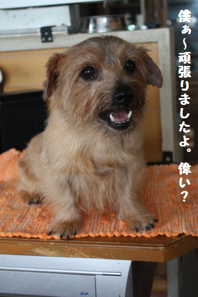 IMG_7617.png
