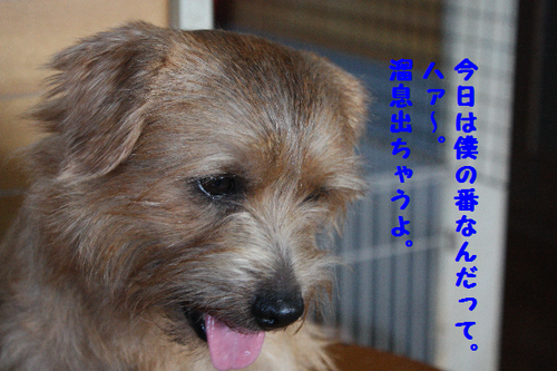 IMG_7648.png