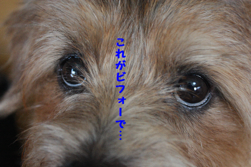 IMG_7652.png