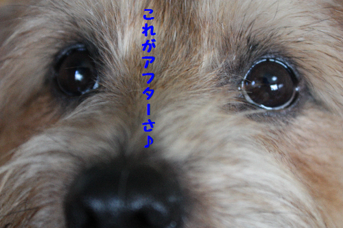 IMG_7667.png