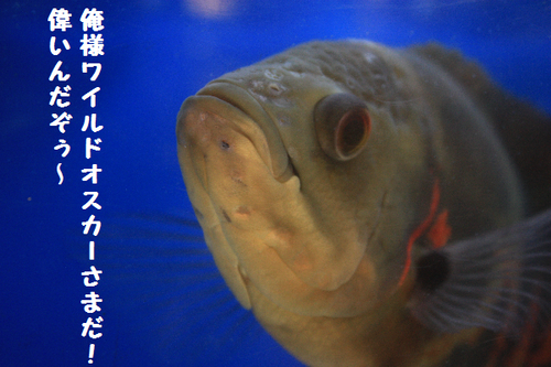 IMG_4624.png