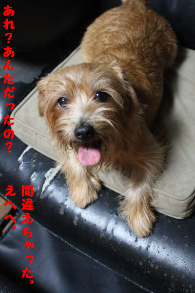 IMG_7681.png