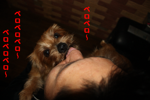 IMG_0991.png