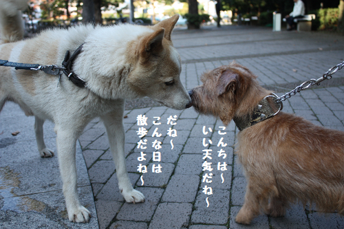 IMG_7736.png