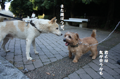 IMG_7741.png