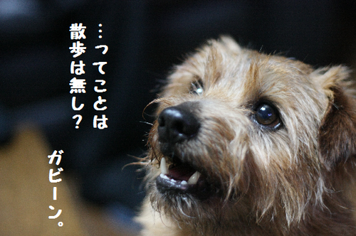 IMG_8672.png