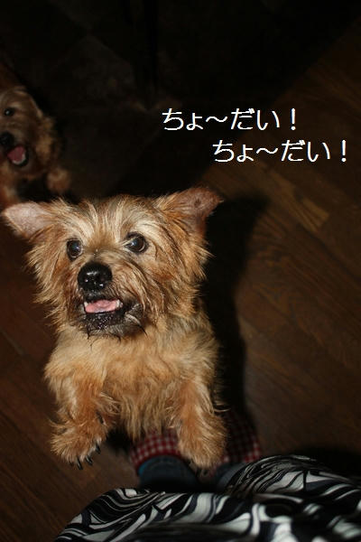 IMG_8797.JPG