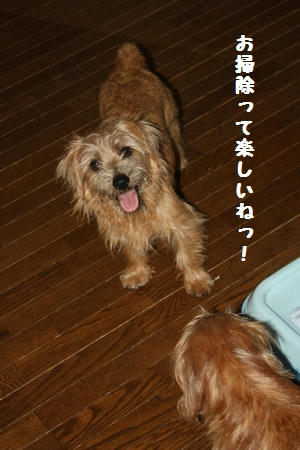 IMG_9250.JPG