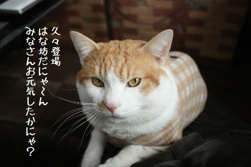 b57dd8a5.JPG