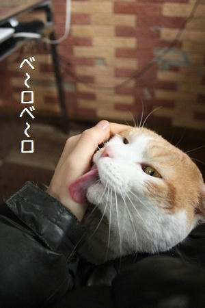 9d398f04.JPG