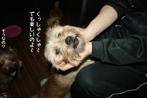 IMG_9637.JPG