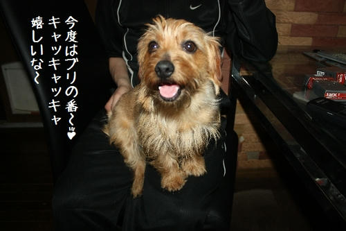 IMG_9643.JPG