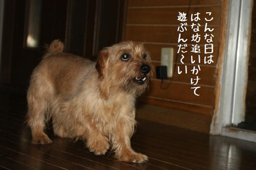IMG_9575.JPG