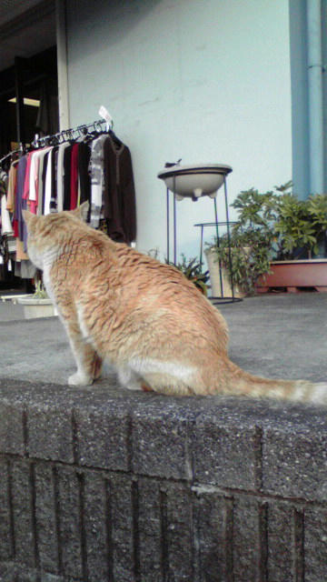 2010050517140000.jpg