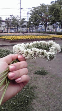 2010051515150000.jpg
