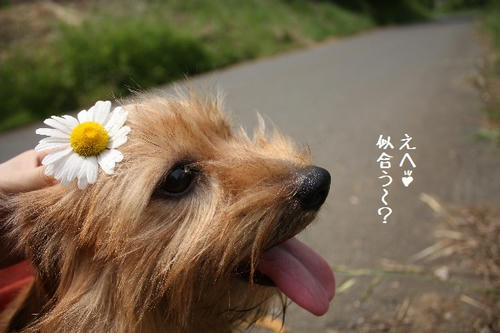 14a3e70f.JPG