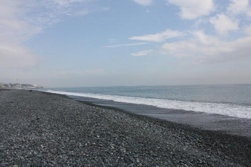 IMG_1658.JPG
