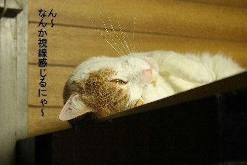 IMG_2571.JPG