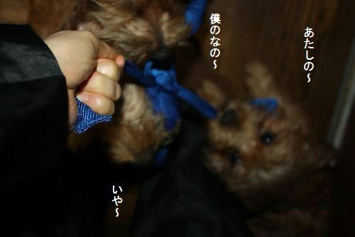 0d5860cf.JPG