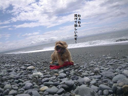 IMGP0100.JPG
