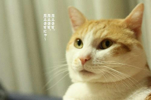 82c71051.JPG