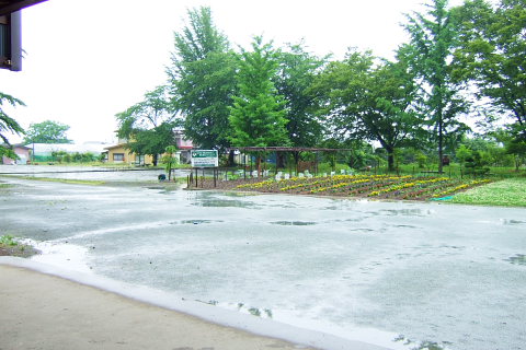 若木山公園