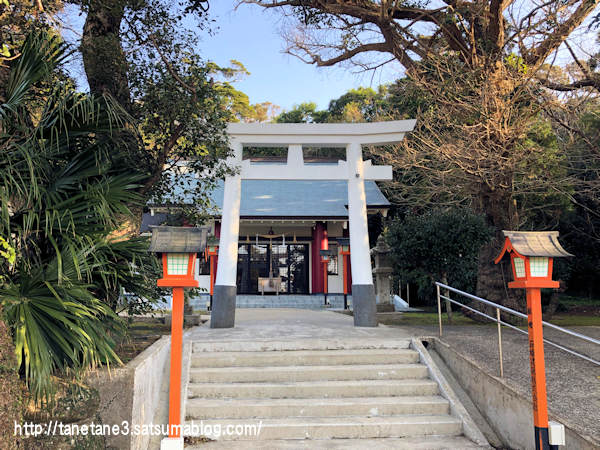 イベント Tanega島3