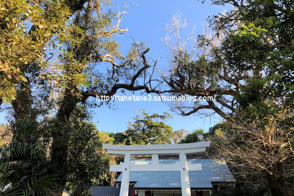 イベント Tanega島3