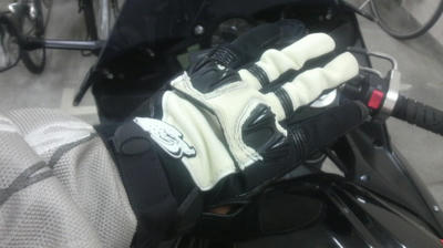 メッシュグローブ初購入