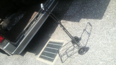 ゴロゴロ大活躍