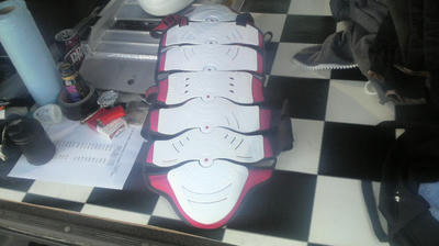 Berik バックボーンプロテクター