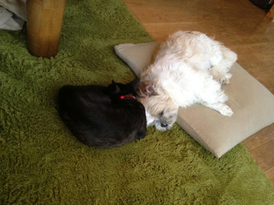 ザックさんとフクさん