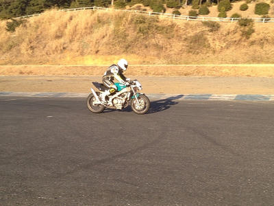 タラヲさんとスパーダ