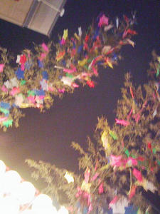 090807_191548.jpg