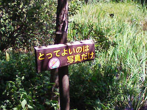 090813_104831_ed.jpg
