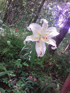090813_102523.jpg
