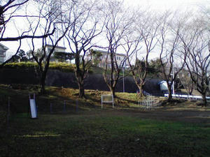 100104_124057_ed.jpg