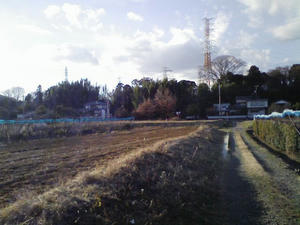 110102_151827_ed.jpg