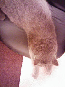 110129_190156.jpg